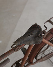 画像をギャラリービューアに読み込む, 自転車
