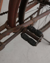 画像をギャラリービューアに読み込む, 自転車
