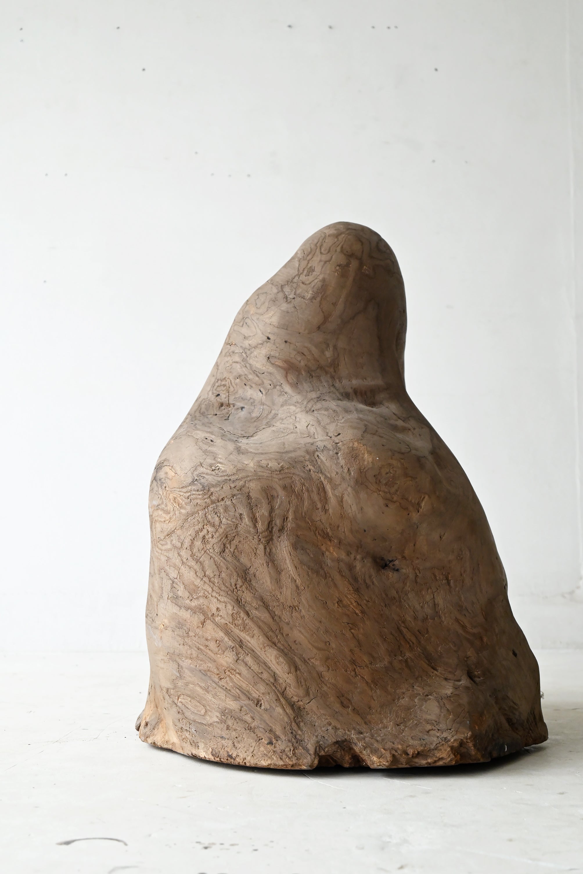 木の瘤 – DOUGUYA